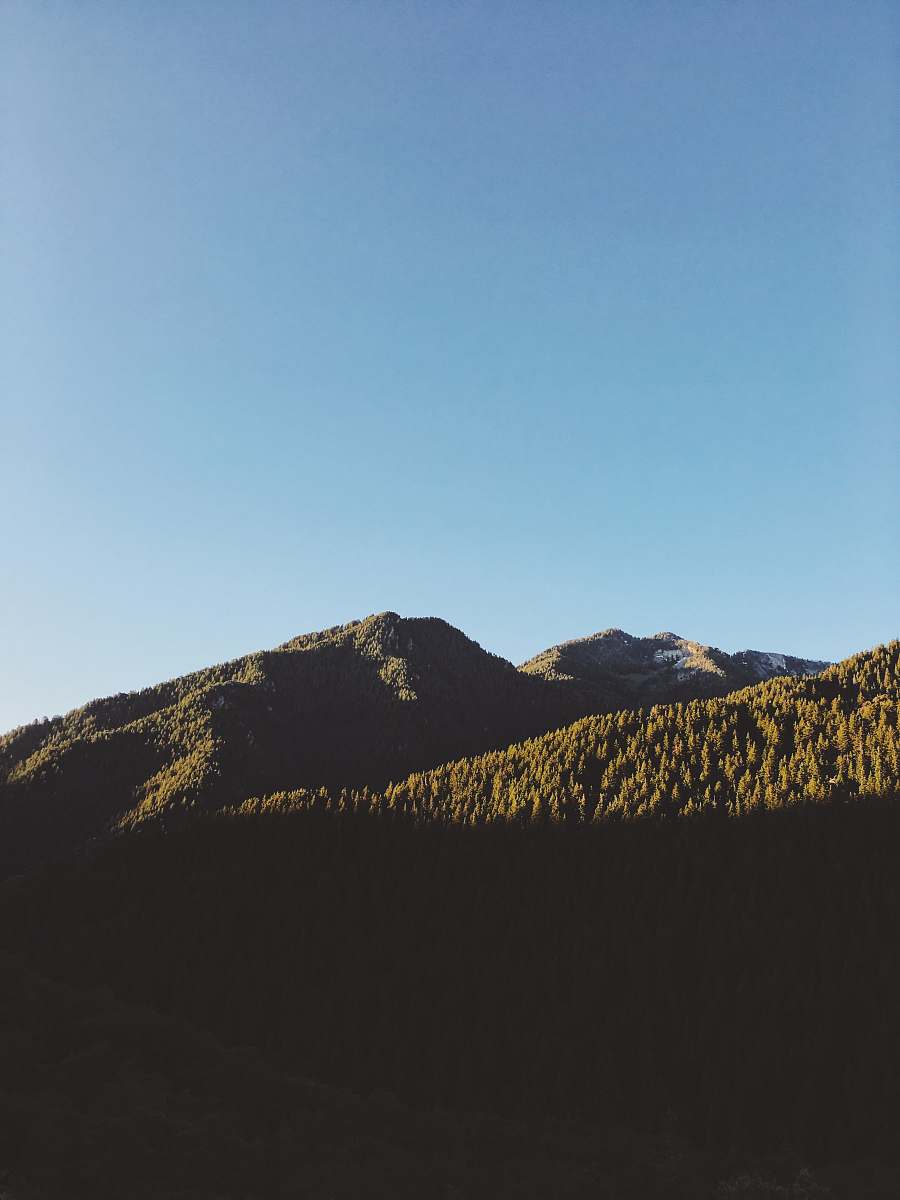 nature mountain covered with trees under blue sky at daytime blue